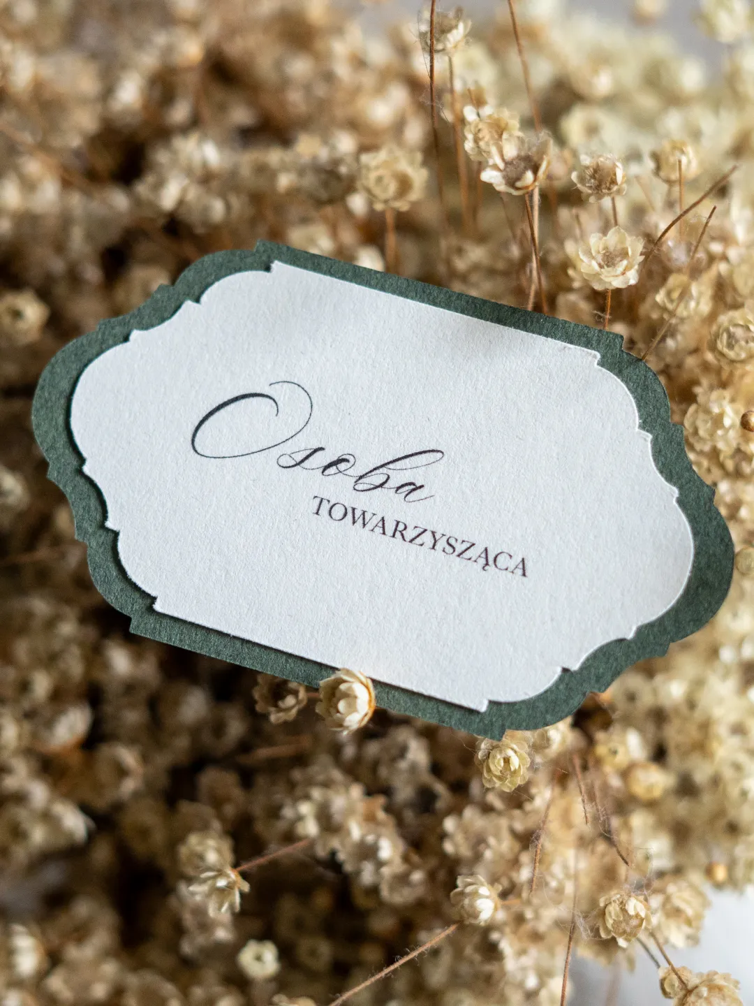 Winietka - Oliwia